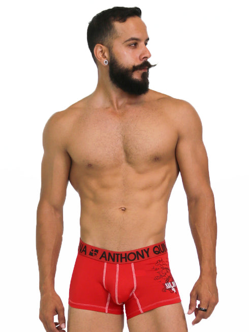 Men's AQ Trunk Men's Hybrid Collection Boxer Briefs Trunk-up Hot Pants – 3-Pack